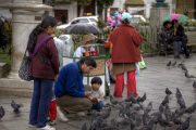La Paz, Bolivien: eine Familie füttert Tauben