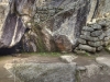 Versteinerter Kondor, Machu Picchu