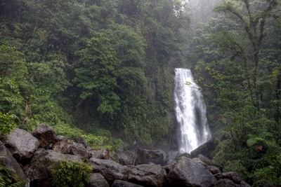 Trafalgar Falls, Dominica. Schöne Wasserfälle im Herzen der Karibik-Insel Dominica.