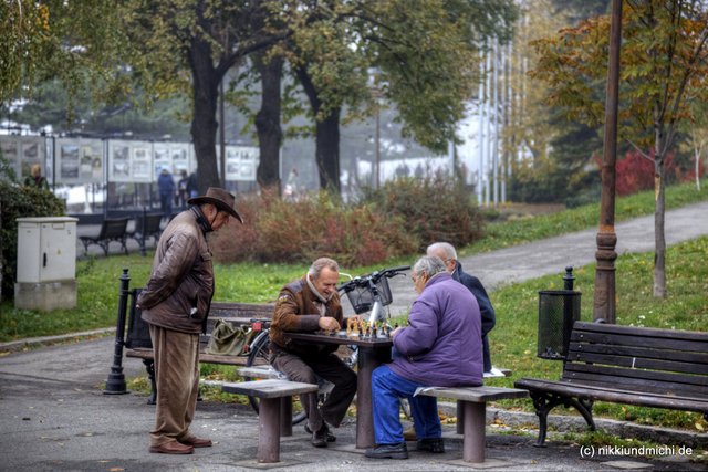 Männer spielen Schach im Park der Belgrader Festung.