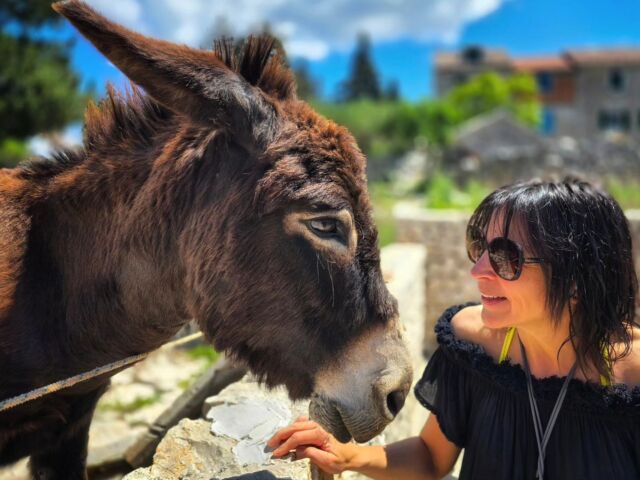 Nikki&Rocky. Zwei, die sich mögen. 

#donkey #donkeylove