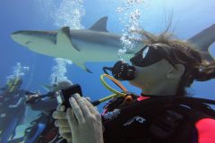 Nikki Bralo Dunker beim Tauchen mit Haien