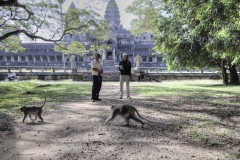 Kambodscha_Angkor_052