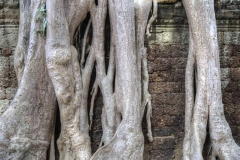 Kambodscha_Angkor_089